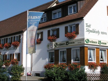 照片:  Gr&amp;uuml;ner Baum
